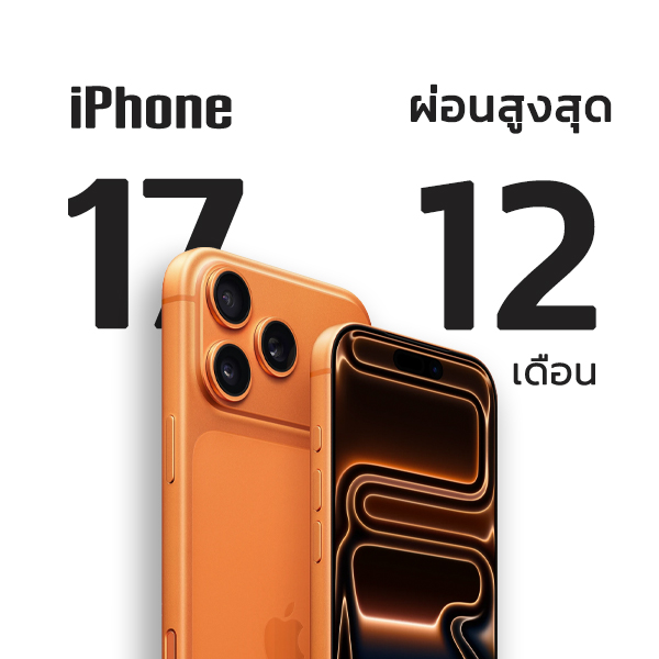 L1
